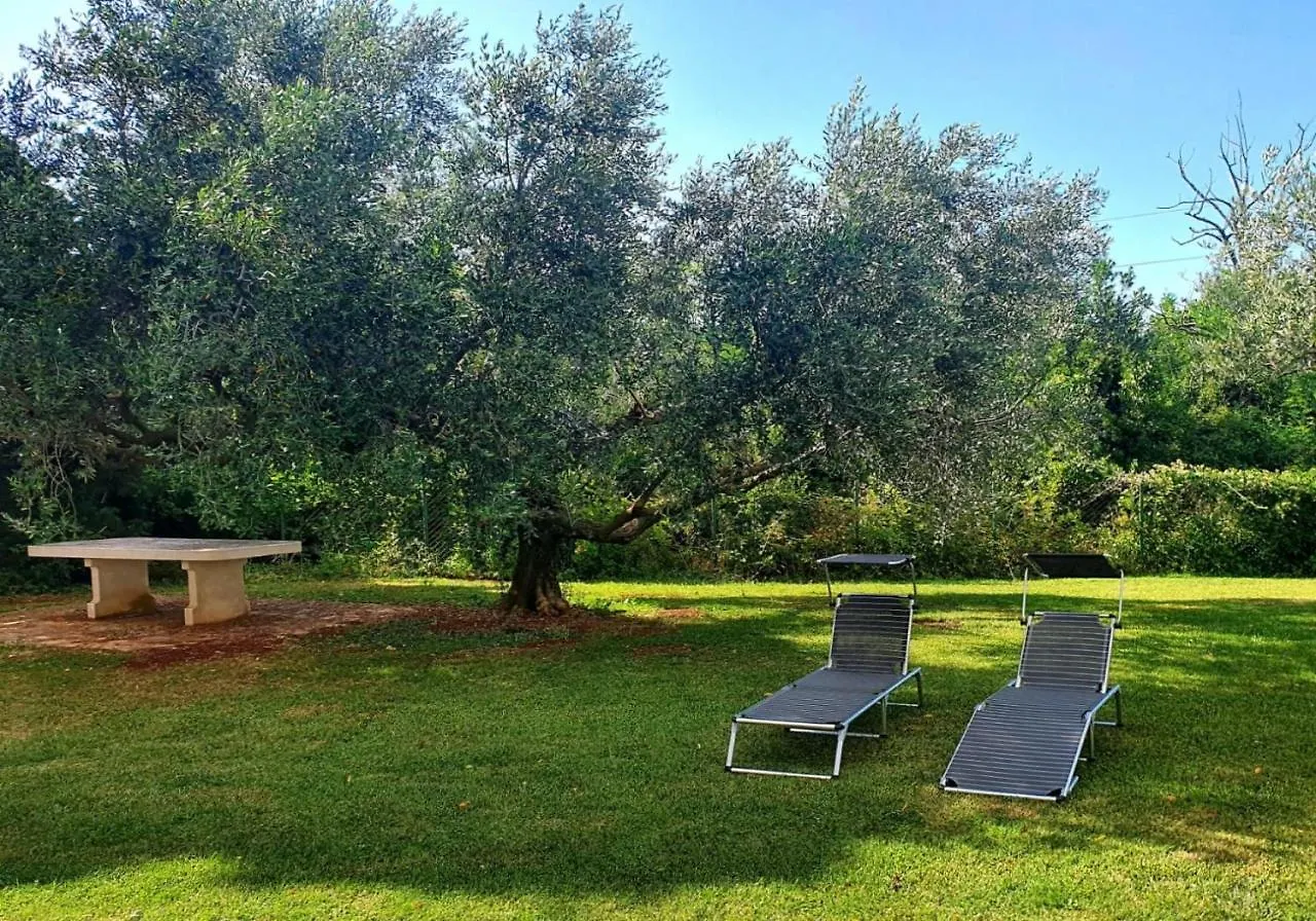 Apartments With A Parking Space Zambratija, Umag - 20423 Savudrija